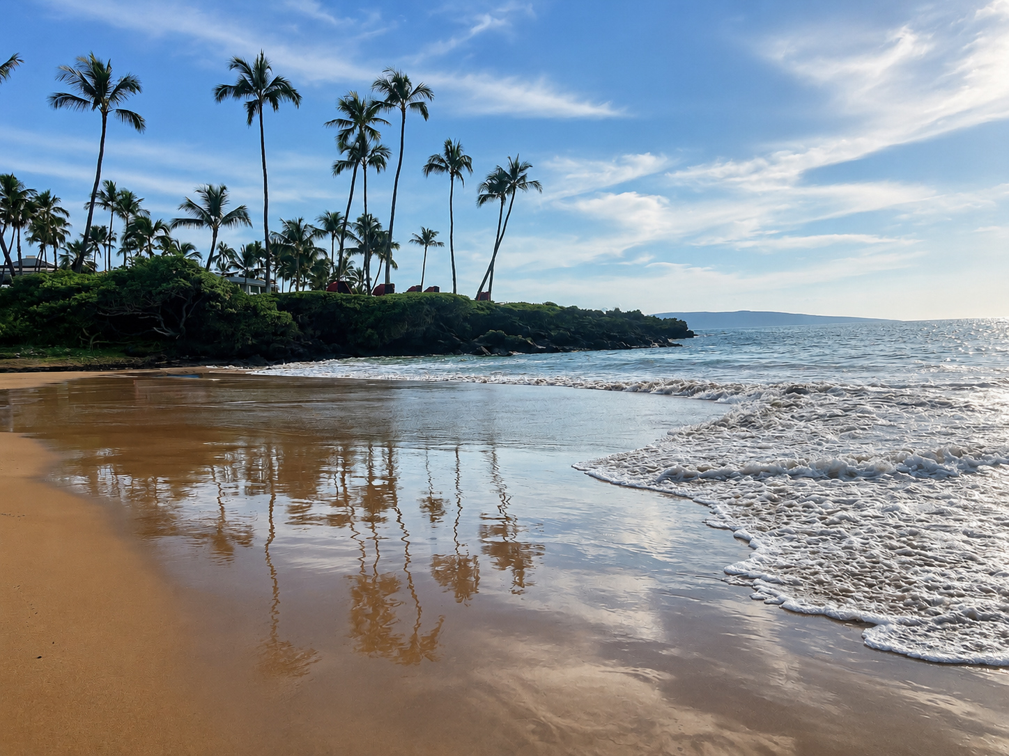 Palm-lined beach on South Maui at golden hour